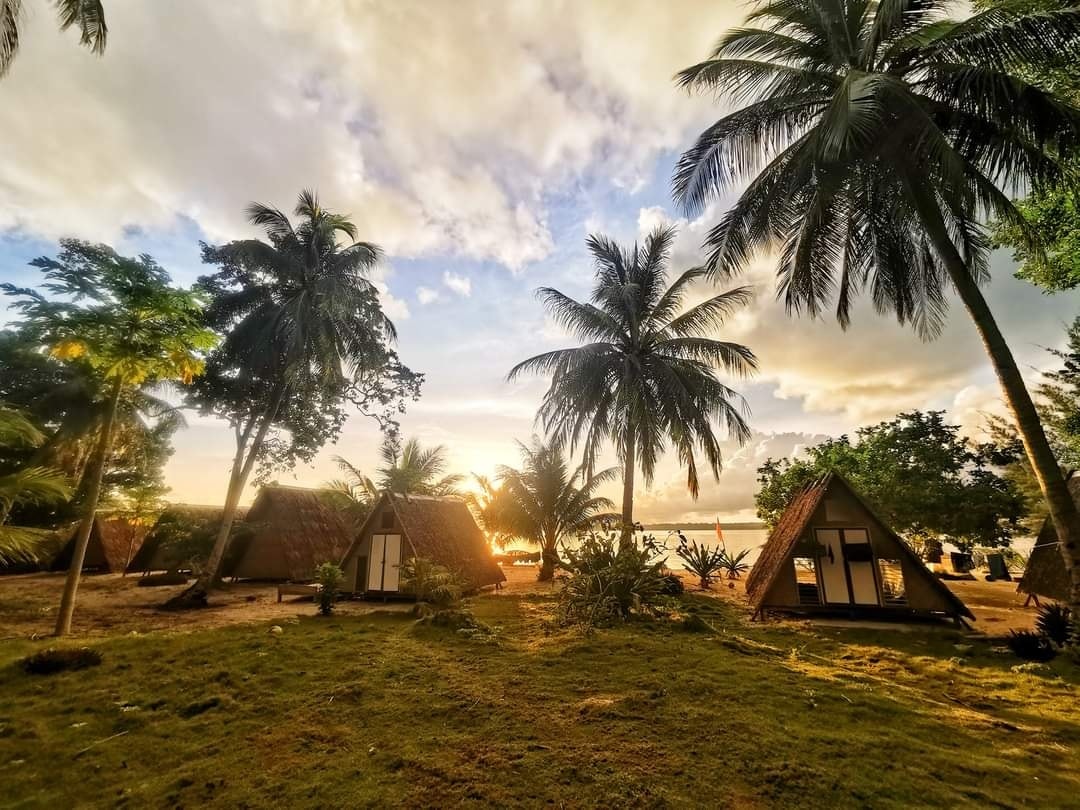 Elevated jungle tent nestled among tropical canopy